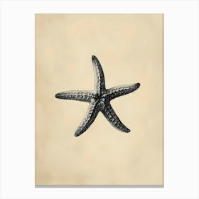 Starfish Canvas Art Canvas Print