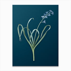 Vintage Dutch Hyacinth Botanical Art on Teal Blue n.0192 Canvas Print