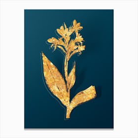 Vintage Water Canna Botanical in Gold on Teal Blue n.0162 Canvas Print