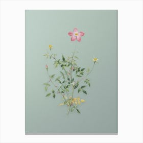 Vintage Single Dwarf Chinese Rose Botanical Art on Mint Green n.0188 Canvas Print
