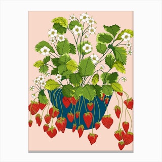 Strawberry Growing Pot Canvas Print