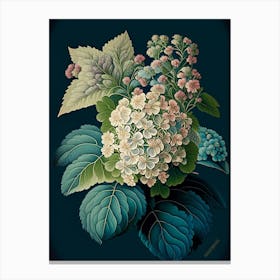 Hydrangea 3 Floral Botanical Vintage Poster Flower Canvas Print