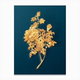 Vintage Ventenat's Rose Botanical in Gold on Teal Blue n.0347 Canvas Print