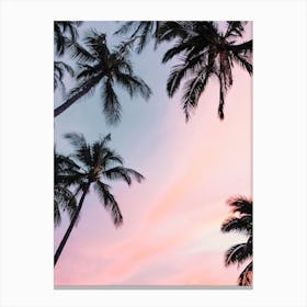 Sunset Over Palm Trees Canvas Print