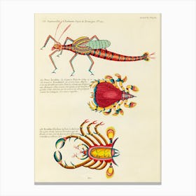 Colourful And Surreal Illustrations Of Fishes And Crabs Found In Moluccas (Indonesia) And The East Indies, Louis Renard(16) Canvas Print