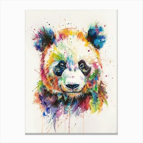 Panda Colourful Watercolour 2 Canvas Print