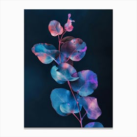 Eucalyptus 10 Canvas Print