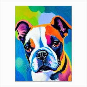 Boston Terrier 2 Fauvist Style dog Canvas Print