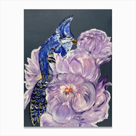 Blue Jay Canvas Print