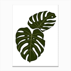 Monstera Leaves 3 Canvas Print