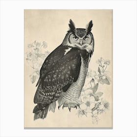 Philipine Eagle Owl Vintage Illustration 2 Canvas Print