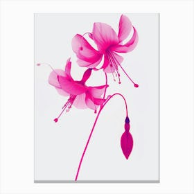Hot Pink Fuchsia 2 Canvas Print