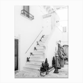 Stairs In Puglia Cactus Black And White Canvas Print