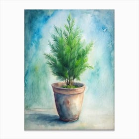 Watercolor Of A Pine Tree Canvas Print