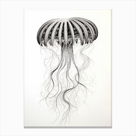 Irukandji Jellyfish Drawing 1 Canvas Print