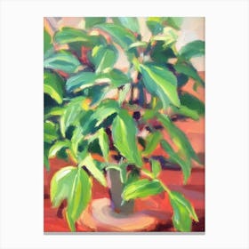 Devil’S Ivy Impressionist Painting Plant Canvas Print