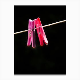Two Pegs Canvas Print