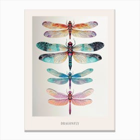 Colourful Insect Illustration Dragonfly 3 Poster Canvas Print