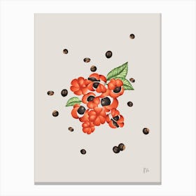 guaraná Canvas Print