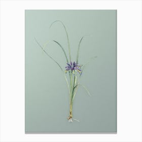 Vintage Grass Leaved Iris Botanical Art on Mint Green n.0474 Canvas Print
