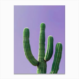 Cactus 16 Canvas Print