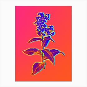 Neon White Gillyflower Bloom Botanical in Hot Pink and Electric Blue n.0594 Canvas Print