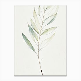White Willow Leaf Minimalist Watercolour 3 Canvas Print