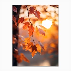 Autumn Leaves In The Sunlight 3 Canvas Print