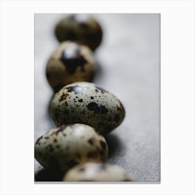 Quail Eggs 11 Canvas Print