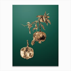 Gold Botanical Pomegranate on Dark Spring Green n.4191 Canvas Print
