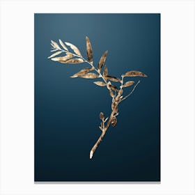 Gold Botanical Jujube on Dusk Blue n.3218 Canvas Print