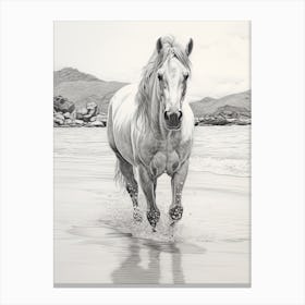 A Horse Oil Painting In Lanikai Beach Hawaii, Usa, Portrait 4 Canvas Print