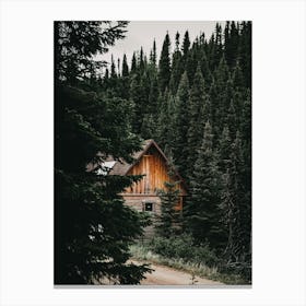 Cabin In Pine Forest Canvas Print
