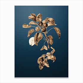 Gold Botanical Musky Pear on Dusk Blue Canvas Print