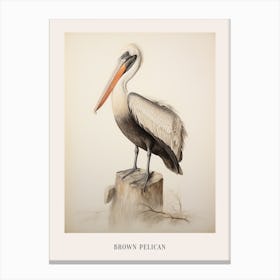 Vintage Bird Drawing Brown Pelican 1 Poster Canvas Print