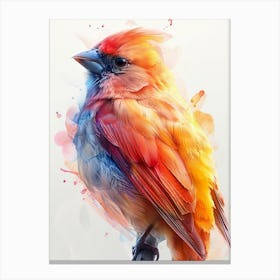 Colorful Bird 1 Canvas Print