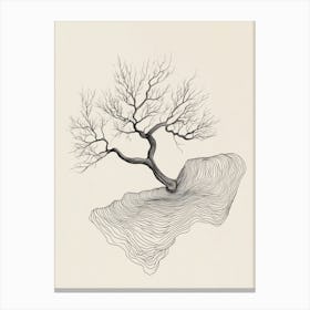 Tree Of Life Canvas Print