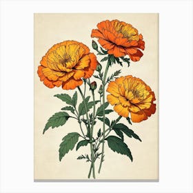 Carnations 1 Canvas Print