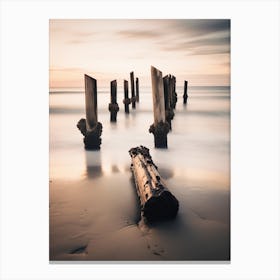 Driftwood On The Beach 1 Canvas Print