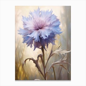 Floral Illustration Cornflower Canvas Print