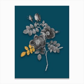 Vintage Austrian Briar Rose Black and White Gold Leaf Floral Art on Teal Blue n.0271 Canvas Print