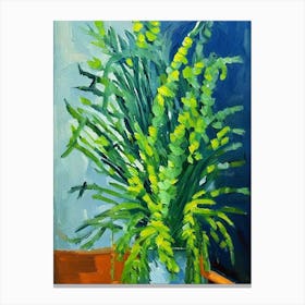 Asparagus Fern Cézanne Style Canvas Print