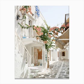 Little Streets Of The Greek Islands Canvas Print
