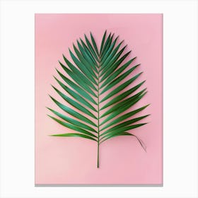 Palm Leaf On Pink Background 10 Canvas Print