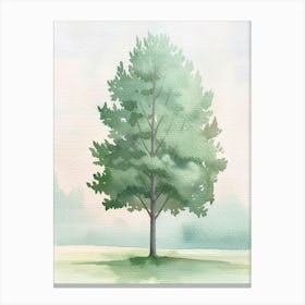 Poplar Tree Atmospheric Watercolour Painting 2 Canvas Print