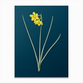 Vintage Narcissus Odorus Botanical Art on Teal Blue n.0483 Canvas Print
