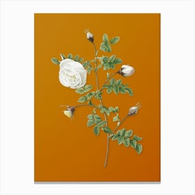 Vintage Silver Flowered Hispid Rose Botanical on Sunset Orange n.0527 Canvas Print