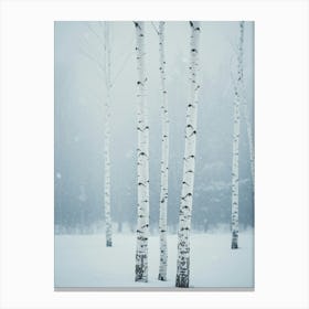 Birch Trees In The Snow Leinwandbild