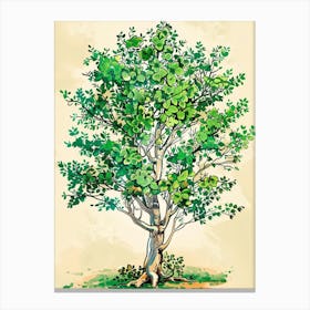 Boxwood Tree Storybook Illustration 2 Canvas Print