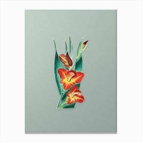 Vintage Parrot Gladiole Flower Botanical Art on Mint Green n.0027 Canvas Print